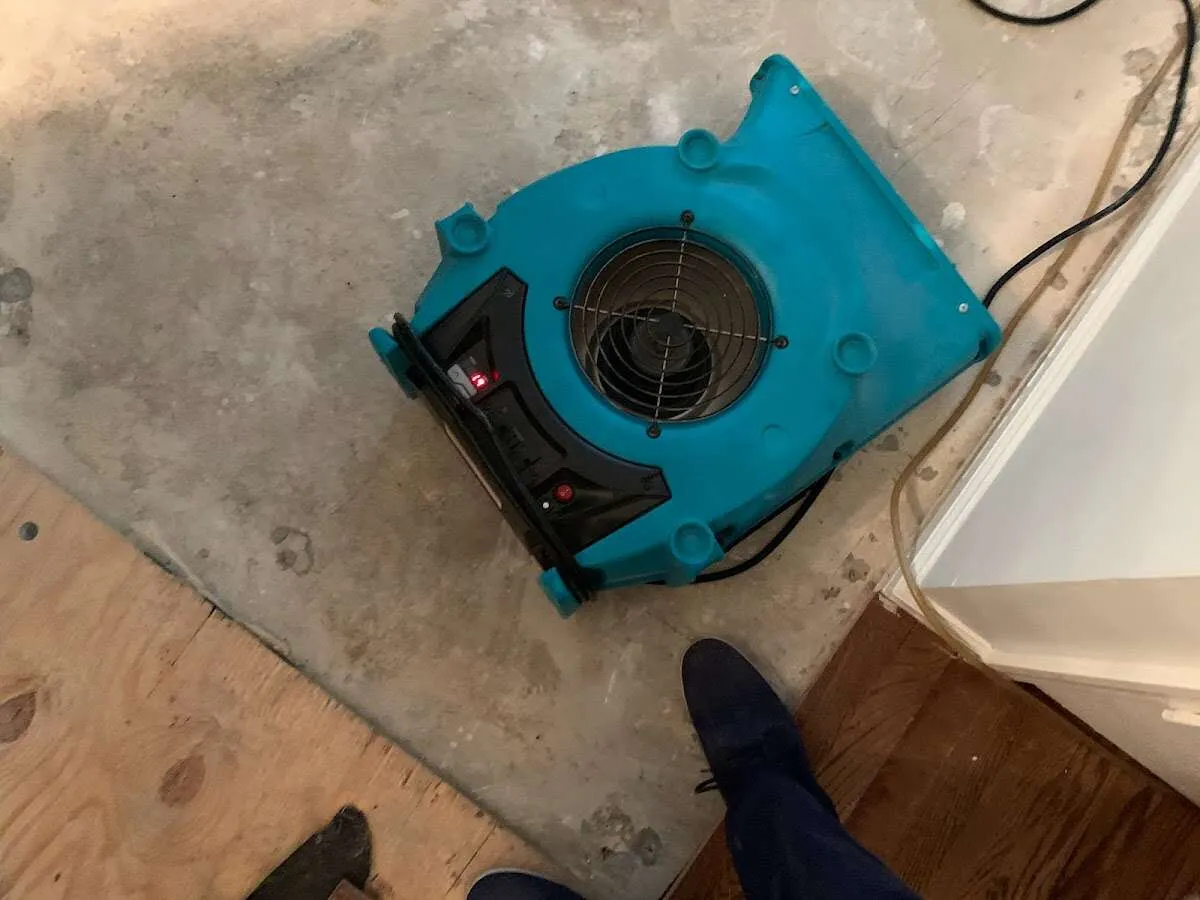 Air mover drying subfloor during Leak Detection & Repair in Webster Groves
